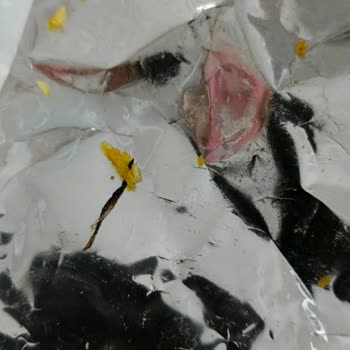 Cipsin İçinden Yabancı Madde Çıkması Sağlığımızı Tehdit Etti