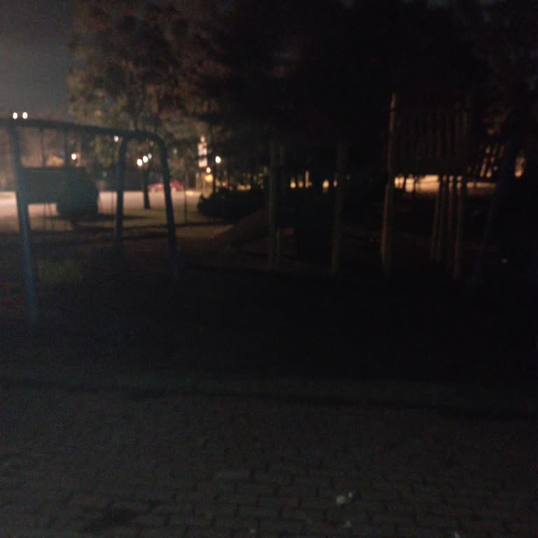 Gölcük Belediyesi Parkın Işıkları Yanmıyor