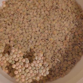 Aldığım Migros Yeşil Mercimekten Böcek Çıktı, Ücret İadesi Ve Çözüm Bekliyorum