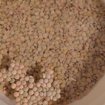 Aldığım Migros Yeşil Mercimekten Böcek Çıktı, Ücret İadesi Ve Çözüm Bekliyorum