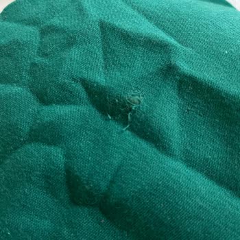 İade Talebim Bir Aydır Sonuçlanmadı Mağdur Ediliyorum