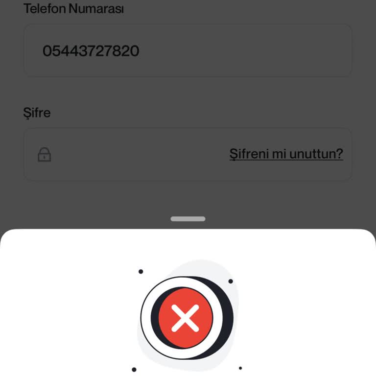 Sim Kart Değişikliği Sonrası Papel Hesabına Erişim Sorunu Ve Mağduriyet