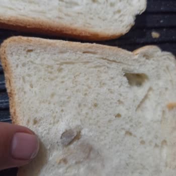 Tost Ekmeğinde Ekmekle İlgisiz Yabancı Madde Şoku