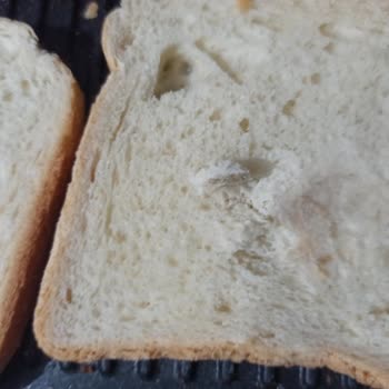 Tost Ekmeğinde Ekmekle İlgisiz Yabancı Madde Şoku