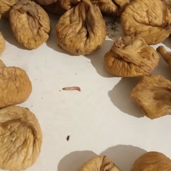 Kurtlu Ve Böcekli İncir Gönderildi, Satıcı İletişimi Tamamen Kesti