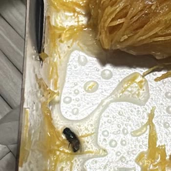 Hamile Halimde Kaymaklı Kadayıftan Sinek Çıktı, Şube İlgisiz Ve Kaba Davrandı