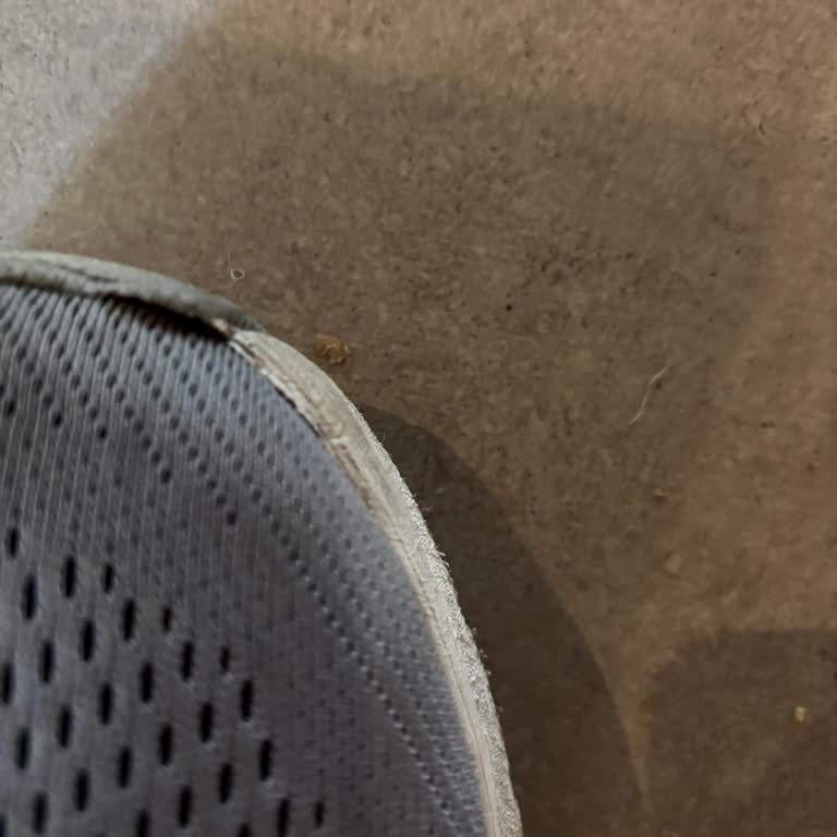 Kısa Sürede Deforme Olan Ayakkabı İçin Değişim Veya İade Talebi