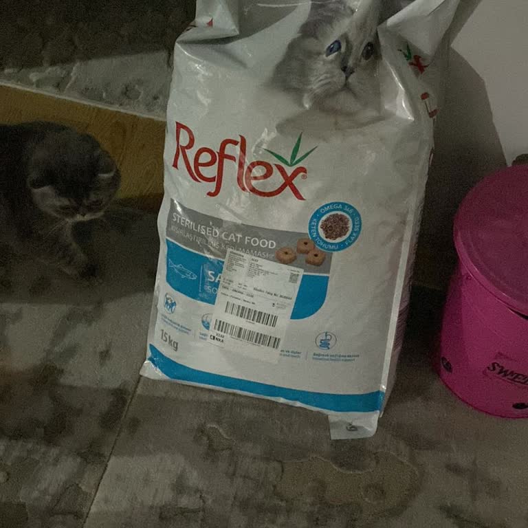 Amazon Yanlış Ve Eski Tarihli Kedi Maması Gönderdi Müşteri Hizmetleri Çözüm Sunmuyor