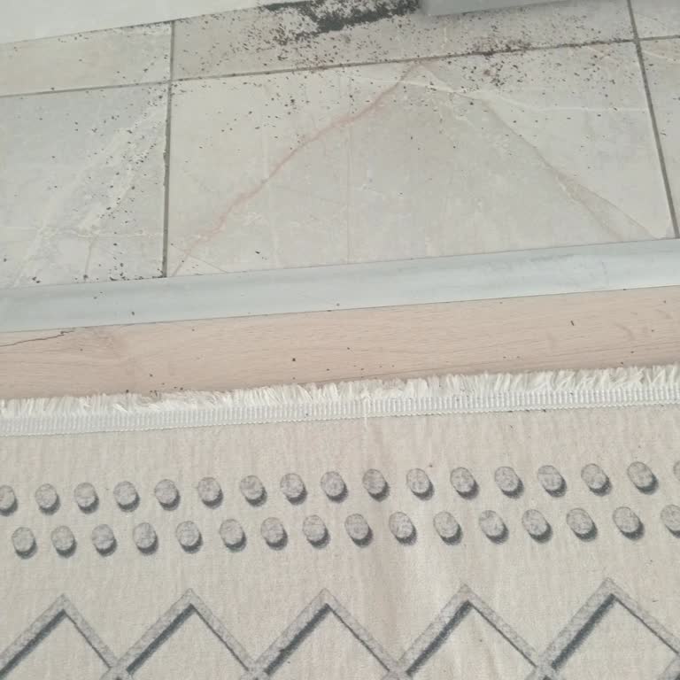 Dreame Yeni Alınan Robot Süpürgenin Düşük Çekim Gücü Ve Yetersiz Performansı