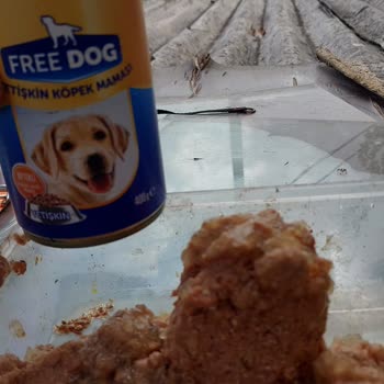 Köpek Mamasında Kurt Çıkması Ve Müşteri Güveninin Sarsılması