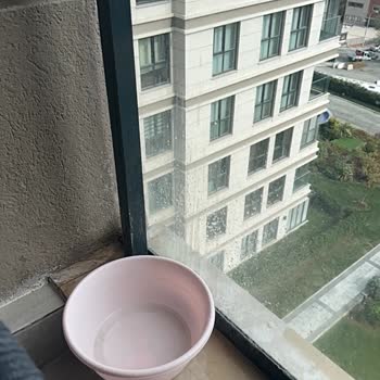 Yeni Teslim Edilen Dairemde Ciddi Su Sızıntısı Ve İlgisizlik Sorunu