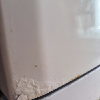 Arçelik Bulaşık Makinesinde Sürekli Paslanma Ve Kabarma Sorunu