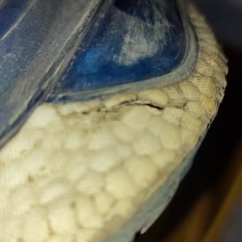 Garanti Kapsamındaki Ayakkabımın Sorunu Çözülmeden İade Edildi