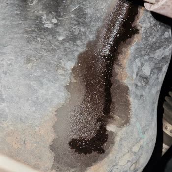 Fiat Egea'da Yağ Kaçağı Sorunu Garantiden Karşılanmıyor!