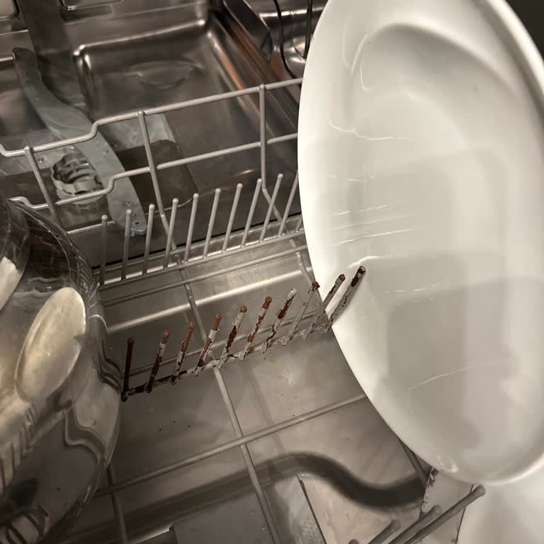 Я купил Franke FDWS 712 A++ XS: Корзина посудомоечной машины заржавела за 6 месяцев