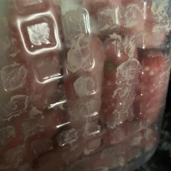 Son Kullanma Tarihi Geçmemiş Banvit Sosislerde Renk Değişimi ve Bozulma