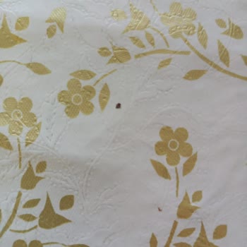 Golden Goat Bebek Mamasının İçinden Yabancı Madde Çıktı