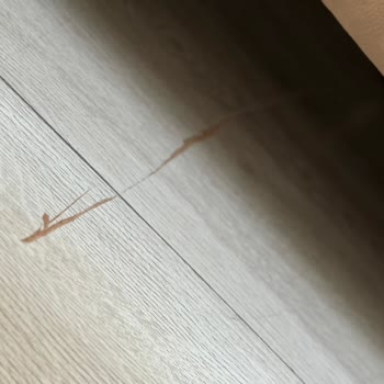 Koltukların Tüylenmesi Ve Eksik Montaj Nedeniyle Parkelerde Hasar, Çözüm Sunulmaması