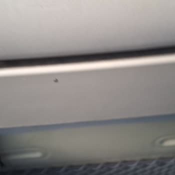 TCDD Trenlerinde Temizlik Sorunu Ve Hijyen Eksikliği