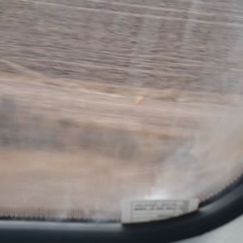 TCDD Trenlerinde Temizlik Sorunu Ve Hijyen Eksikliği