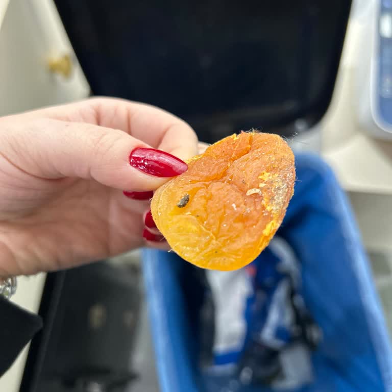 Aldığım Kuru Kayısı Paketinden Fare Dışkısı Çıktı, Sağlığım Tehlikeye Girdi