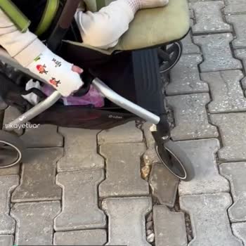 Cybex Bebek Arabası Şikayeti