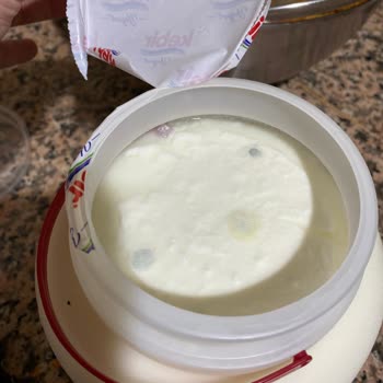 Kebir Yoğurt İlk Açılışta Küflü Çıktı, Değişim Talebim Karşılanmadı