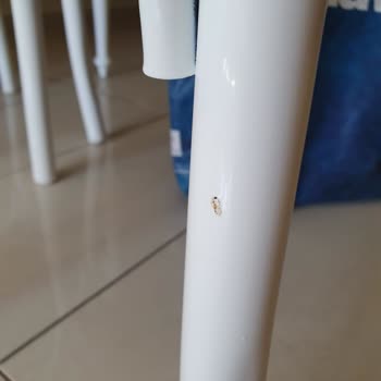 Kelebek Mobilya’dan Aldığım Kusurlu Ürünler İçin Çözüm Ve Destek Alamıyorum