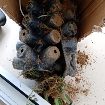 Siparişim Yanlış Ve Özensiz Geldi Mağdur Oldum