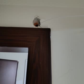 Nakil İşlemi Sırasında Oluşan Duvar Hasarı Ve Mağduriyet