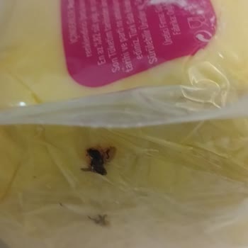 Satın Aldığım Tereyağında Sinek Çıkması Ve Para İadesi Talebim