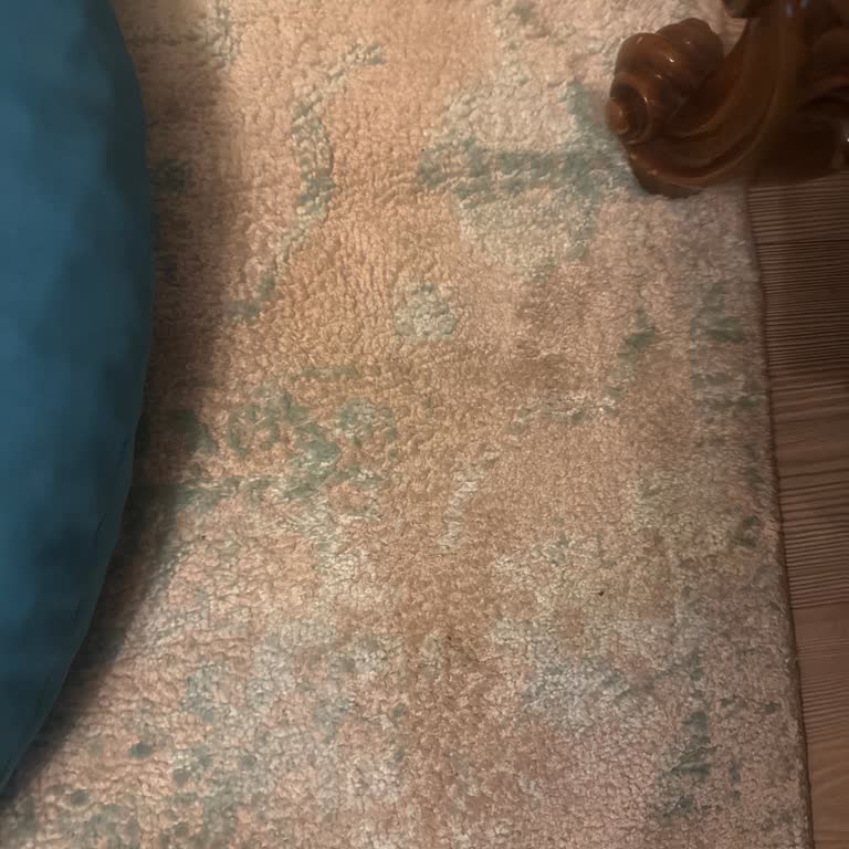 Akar Halı Yıkama İstanbul Halılarda Yoğun Bir Koku Kaldığını Fark Ettim