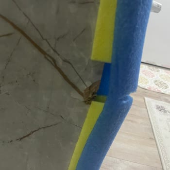 Kırık Teslim Edilen Masa İçin İade Talebim Reddedildi, Mağaza Ve Müşteri Hizmetleri İlgisiz