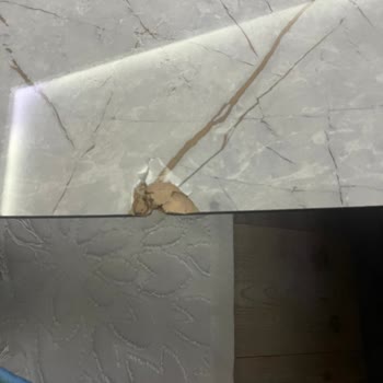 Kırık Teslim Edilen Masa İçin İade Talebim Reddedildi, Mağaza Ve Müşteri Hizmetleri İlgisiz