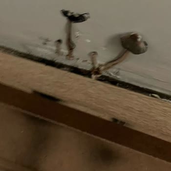 Nidapark Ayyıldız Hala Çözüm Sunmadı