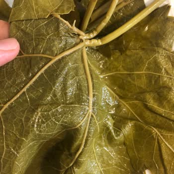 Büyük Hayal Kırıklığı: Beklentimin Çok Altında Ürünler Ve İlgisiz Müşteri Hizmeti