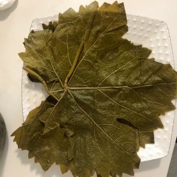 Büyük Hayal Kırıklığı: Beklentimin Çok Altında Ürünler Ve İlgisiz Müşteri Hizmeti