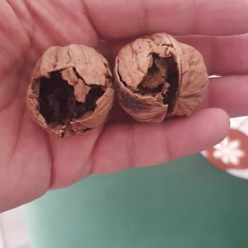 Yanıltıcı Reklam Ve Kalitesiz Ürün Nedeniyle Mağduriyet Yaşadım