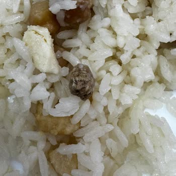 Hazır Tavuklu Pilavda Taş Çıktı, Dişim Kırıldı Ve Mağduriyet Yaşadım