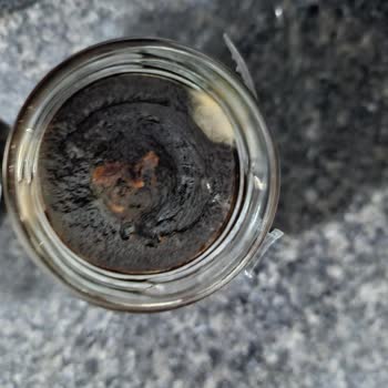 Açılmamış Hurma Ezmesinde Küf Oluşumu Ve Değişim Talebi