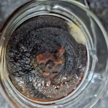 Açılmamış Hurma Ezmesinde Küf Oluşumu Ve Değişim Talebi