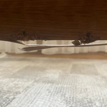 Aylarca Çözülemeyen Karyola Sorunu Ve Yetersiz Müşteri Hizmeti