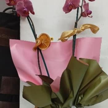 Yanlış Ürün Gönderimi Ve Stokta Olmayan Orkide Satışı Nedeniyle Ücret İadesi Talebi