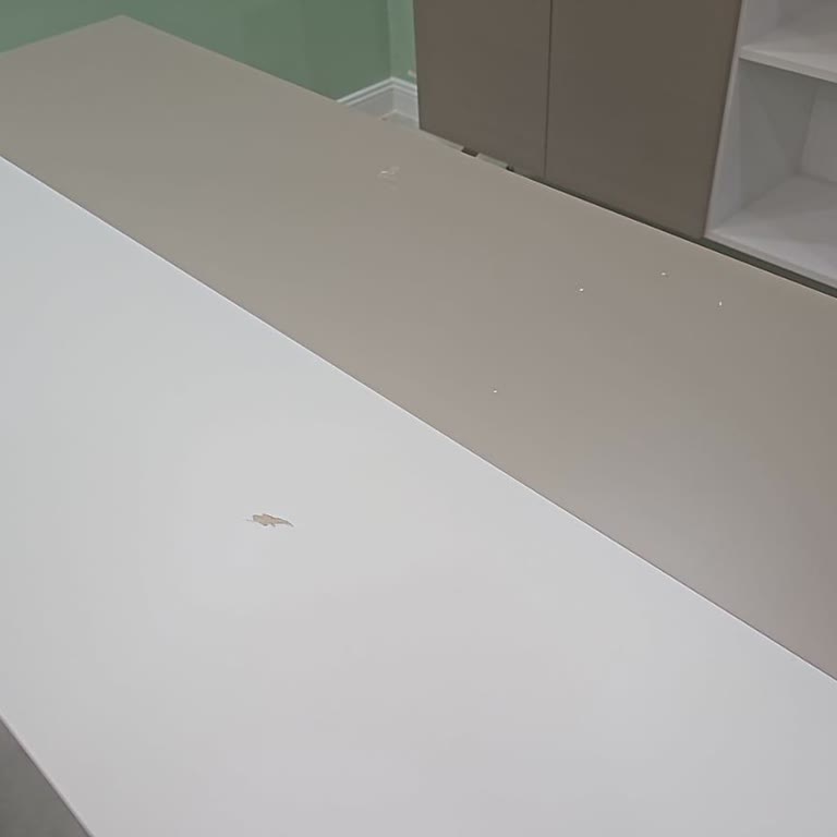 Noah's Design Muhatap Bulamıyorum, Kimse Yardımcı Olmuyor!