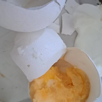 BİMden Alınan Yumurtaların Yarısı Bozuk Çıktı Mağduriyet Yaşadık