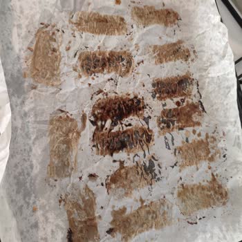 Simfer Mini Fırın Arızası 6 Ayda Çözülmedi Değişim Talebim Karşılanmıyor