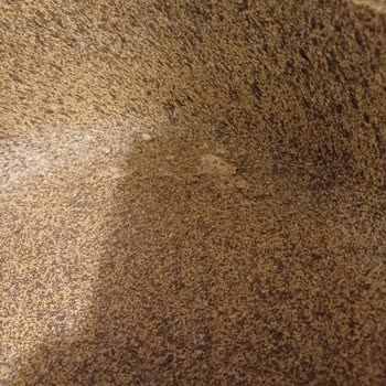 Jumbo Tencerede Kaplama Soyulması Ve Sağlık Endişesi!