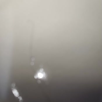 Bebelac Devam Sütünde Yabancı Madde Ve İade Sorunu Nedeniyle Hayal Kırıklığı