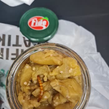 Fide Kavanoz Patlıcanda Hijyen Sorunu: Ölü Madde Şoku