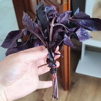 Çağrı Hipermarket Siparişimde Reyhan Demeti Yetersiz Ve Pahalı Geldi